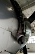 tbm-3e_avenger_09_of_96.jpg