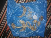 20181124_184424.jpg