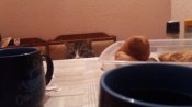 20181214_225016.jpg