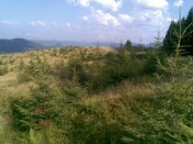 Фото000.jpg
