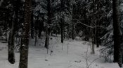 IMG_20181216_115330.jpg