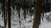 IMG_20181216_123146.jpg