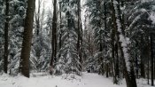 IMG_20181216_140028.jpg