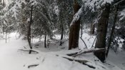 IMG_20181216_140038.jpg