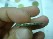 DSC07620.JPG