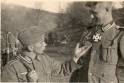 Frontschweine.JPG