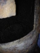 IMG_1261.JPG