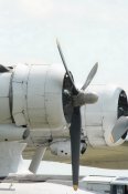 pby-5a_433915_19_of_87.jpg