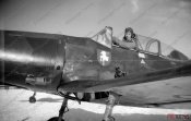 Arado2.jpg