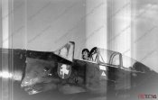 Arado3.jpg