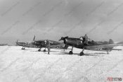 Arado5.jpg