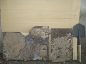 IMG_2021.JPG
