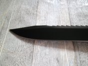 SAM_0877.JPG
