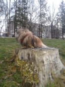 20181206_163015.jpg