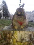20181206_162946.jpg