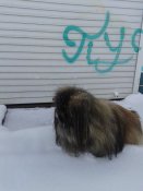 20181215_151648.jpg