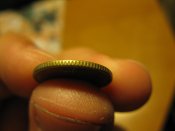 IMG_0458.jpg