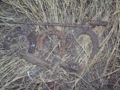 DSC04149.jpg