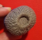 20180114_194829.jpg
