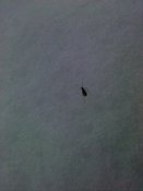 IMG_20181223_120207.jpg