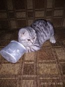 IMG_20181216_145342.jpg