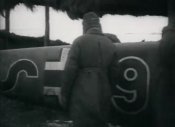 lw4.jpg
