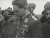 lw7.jpg