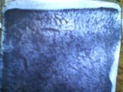 IMG1495A.jpg