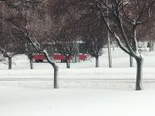 IMG_20181225_112907[1].jpg
