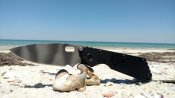IMG_20180614_124555769.jpg