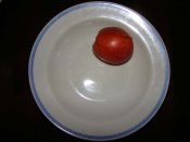 DSC03713a.jpg