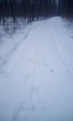 20181226090157.jpg