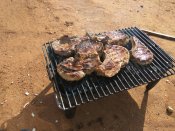 IMG_20180330_155003.jpg