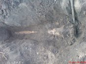 DSC00715.jpg