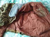 IMG_20181030_105221.jpg