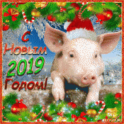 2019.СНГ.gif