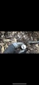 6CDAA238-FA73-48D4-9608-A972A8FFE3C5.png