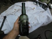 SAM_0339.jpg