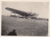 affe Flug.jpg