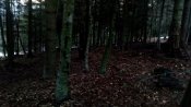IMG_20181230_160014.jpg