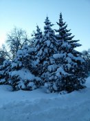 IMAG0033.jpg