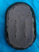 DSCN3460.jpg