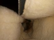 IMG_20190101_170013169.jpg
