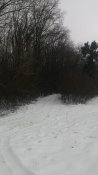 P_20190101_142039.jpg