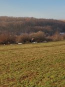 IMG_20190101_112238_HDR.jpg