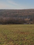 IMG_20190101_112243_HDR.jpg
