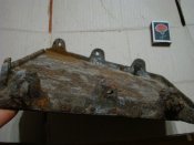 DSC08357.JPG