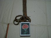 DSC08329.JPG
