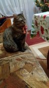 20181231_232826.jpg