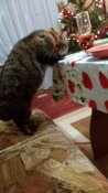 20181231_232904.jpg